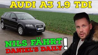 Audi A3 8P 1.9 TDI Sportback - Der beste VAG Motor aller Zeiten? Wir fahren Daniel's Daily