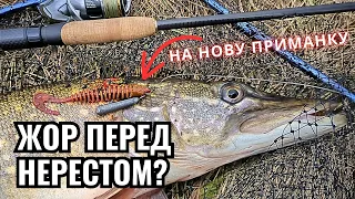 Як ловити наприкінці зими? Щука і окунь зацінили нову приманку Crazy Fish Comet