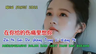 在你给的伤痛里想你 - Zai Ni Gei De shang Tong Li Xiang Ni - 卢喃 - Lu Nan - New Songs 2022