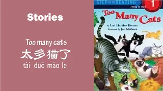 [EN/CN SUB] 太多猫了 | Chinese Stories Beginner | Comprehensible Input