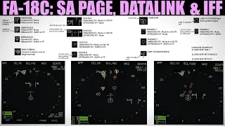 FA-18C Hornet: SA Page, Datalink & IFF Tutorial | DCS WORLD