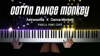 coffin DANCE monkey (mashup) | Piano Cover by Pianella Piano