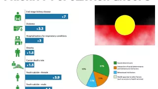 Identifying Australia's Health Priorities