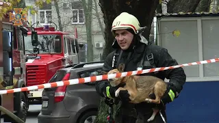 м. Харків: вогнеборці врятували з палаючого будинку 6 людей