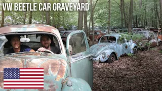 URBEX | Volkswagen Beetle, T1 & T2 graveyard | 2017