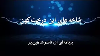 شاخه های این درخت کهن دوشنبه ۲ بهمن