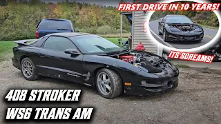 Hasn't Been on The Road in 10 YEARS! Pontiac Trans Am WS6 408 Stroker LS is ROWDY!