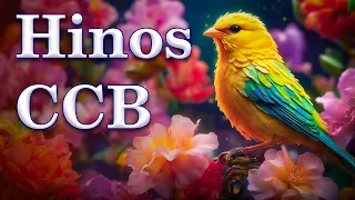 HINOS CCB - Belíssimos Hinos Hinário 5 Cantados CCB - Congregação Cristã #05