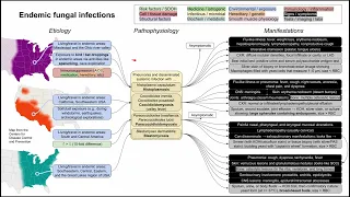 Endemic fungal infections: Histoplasmosis, (Para)Coccidioidomycosis, Blasto (mechanism of disease)