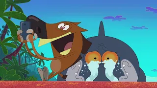 Zig und Sharko | NEUE EPISODEN 😭  Gewinner und Verlierer | Volledige aflevering in HD