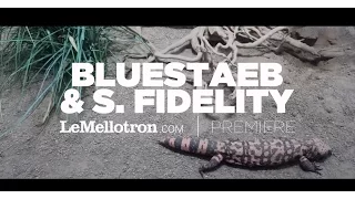 Bluestaeb & S. Fidelity - Fuckin’ Up (Official Video) | Le Mellotron Premiere