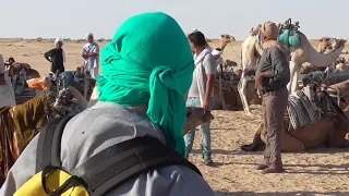 Тунис По Сахаре  на верблюдах.  Экскурсия по пустыне Сахара. Лучшая экскурсия