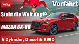 Mazda CX-60: Wie ein CX-5 mit BMW-Tugenden? – Fahrbericht (Review) | auto motor und sport