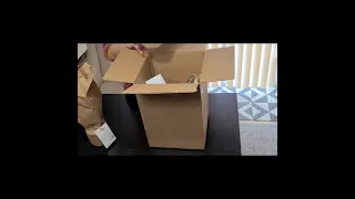 Planterina plant unboxing Raphidophora  Tetrasperma/6 months later plant growth