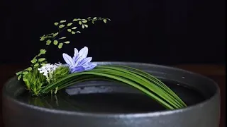 插花藝術--固定和造型花枝，簡單，易學--Flower Arrangement Ideas- ikebana #chahua #Flower Arrangement