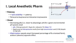 University of Kentucky Anesthesiology Pharmacology Keyword Review 2018 Part 1 of 3 - (Dr. Schell)