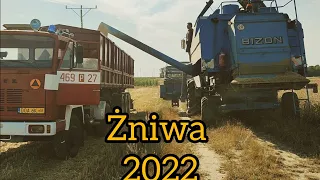 żniwa 2022 rozpoczęte - propozycja Majstra 💰💲💸 Jelcz, Bizon