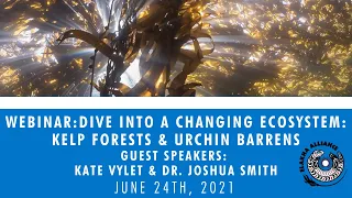 Webinar: Dive into a Changing Ecosystem - Kelp Forests & Urchin Barrens