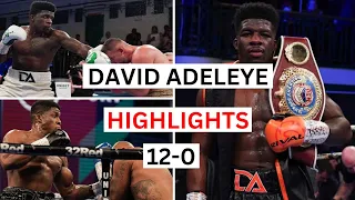 David Adeleye (12-0) Highlights & Knockouts