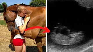 Horse Keeps Hugging Pregnant Woman   When Doctor Looks At Ultrasound He Calls The Police