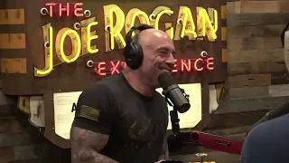 Protect Our Parks | History Talk & Hitler's Genital Abnormalities | The Joe Rogan Experience
