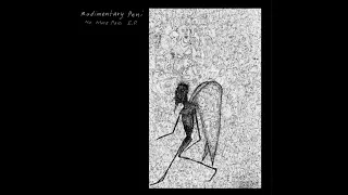 Rudimentary Peni | EP: No More Pain | Punk | England | 2008