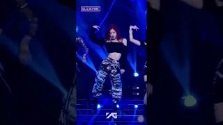 Rosé focus comeback