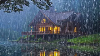 Pioggia Rilassante per Sonno Profondo - Forti Piogge, Vento Forte e Tuoni nella Foresta Nebbiosa #3