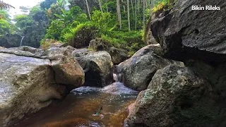 Great Relaxing Sounds, Beautiful Stream in Deep Forest, Morning Forest River Sounds for sleep, relax