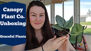 Canopy Plant Co. Unboxing | Silver Lady | Graceful Plants