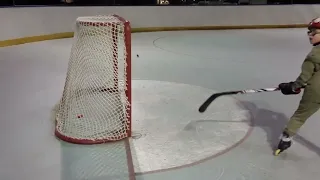 Rubik Masters Michigan Hockey Goal