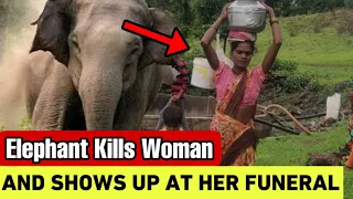 How An Elephant Showed Up At A Woman’s Funeral To Attack Her Again