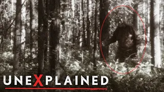 Is This Proof Arizona's 'Bigfoot' Exists? | UNEXPLAINED