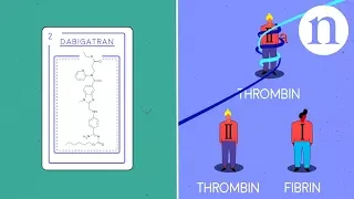 Thrombosis, anticoagulants and the clotting cascade