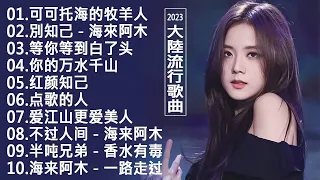 2024華語流行歌曲50首❤️大陸流行歌曲 2024流行歌曲🎶 2024全网最火超好听热门歌曲 - 网易云音乐 🎶 Top Chinese Songs 2024 : 可可托海的牧羊人, 你不再屬於我