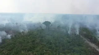 Brazil fights Amazon fires after hundreds more flare up