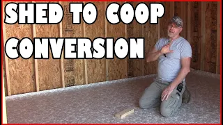 Shed to chicken coop conversion