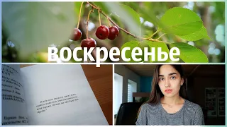 НЕДЕЛЯ ЧТЕНИЯ ЭКСКЛЮЗИВНОЙ КЛАССИКИ 📚 КНИГИ ДЛЯ ПОДРОСТКОВ