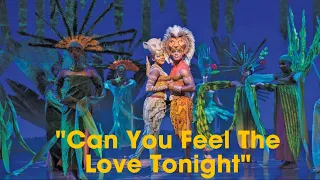 "Can You Feel the Love Tonight" Broadway in Chicago Lion King: December 2022