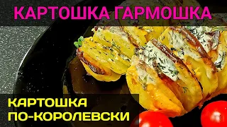 Картошка гармошка в духовке | как приготовить картошку гармошку с беконом быстро и вкусно