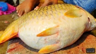 😱😱😱 I Never Seen || Giant Carp Fish Cutting Live In Fish Market | Big Carp Fish Cutting Skills