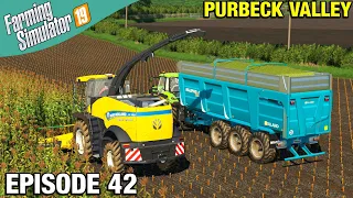 FINISHING UP Farming Simulator 19 Timelapse - Purbeck Valley Farm FS19 Ep 42