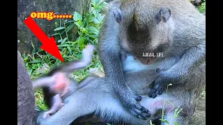 OMG ... newborn baby Vixen is fall down hard why mom not care ?