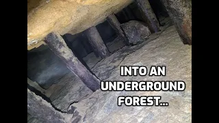 Bringing An Abandoned Gold Mine Back To Life: Part 16 of ?