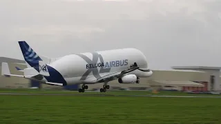 AIRBUS A330--743 BELUGA XL LANDING CHESTER HAWARDEN AIRPORT