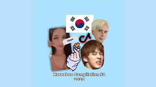 Koreaboo Compilation 2020 - TikTok & More