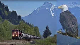 Sunrise, Wildlife and 7 Trains, Featuring A Bald Eagle, SD70M-2 Action, CN 100, Float Plane and MORE