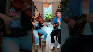 🍀Temperance Reel🍀 featuring Tristan Scroggins on #mandolin 🍀 #oldtime #fiddle #podorhythmie 👣