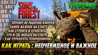 Как играть в Sons of The Forest, чтобы получалось (гайд)