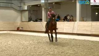 Мастер класс Катрины Вюст в Maxima Stables 01.02.15 - 3